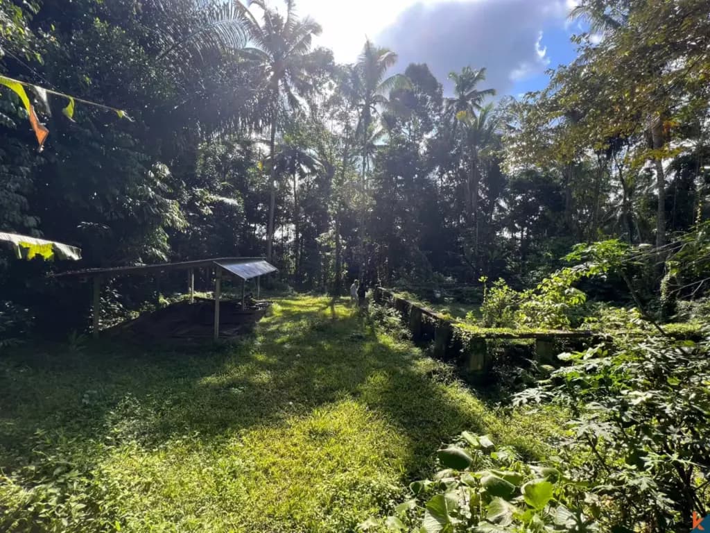 1230 m² Land Plot for Sale Tegallalang, Bali, Tegallalang — photo 2