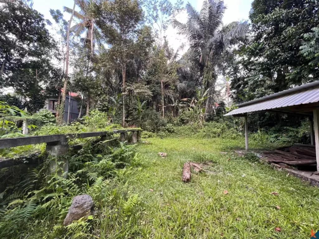 1230 m² Land Plot for Sale Tegallalang, Bali, Tegallalang — photo 3