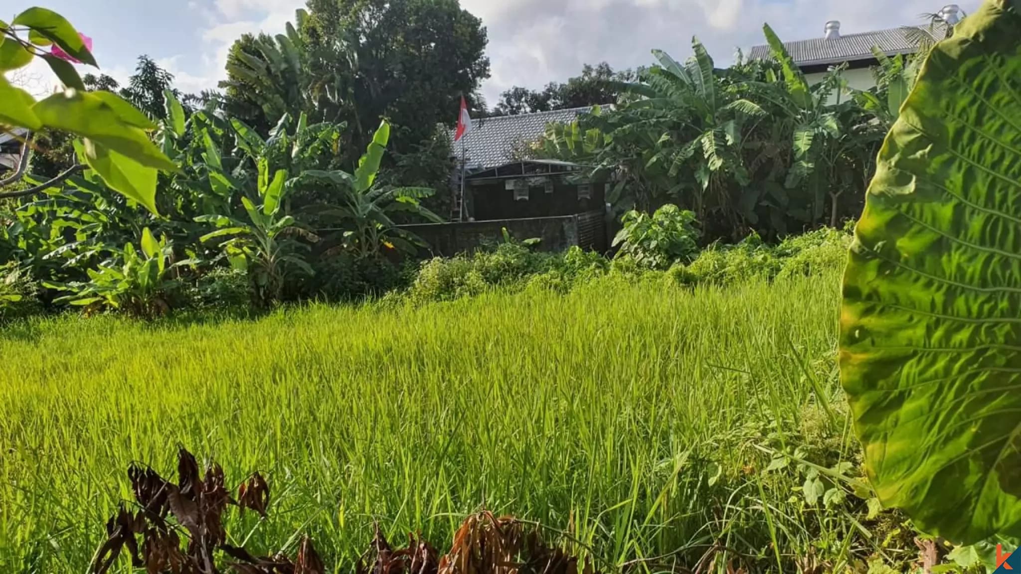1000 m² Land Plot for Sale Kerobokan, Bali, Kerobokan