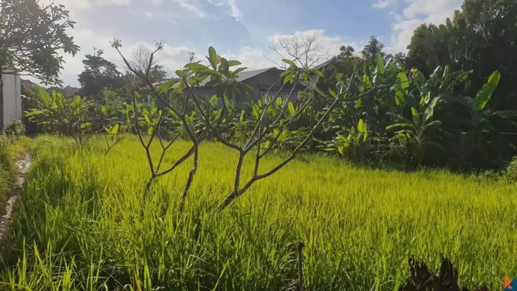 1000 m² Land Plot for Sale Kerobokan, Bali, Kerobokan — photo 3