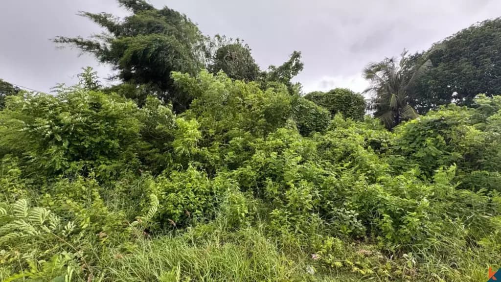 6000 m² Land Plot for Sale Kutuh South Bali, Bali, Kutuh South Bali — photo 2