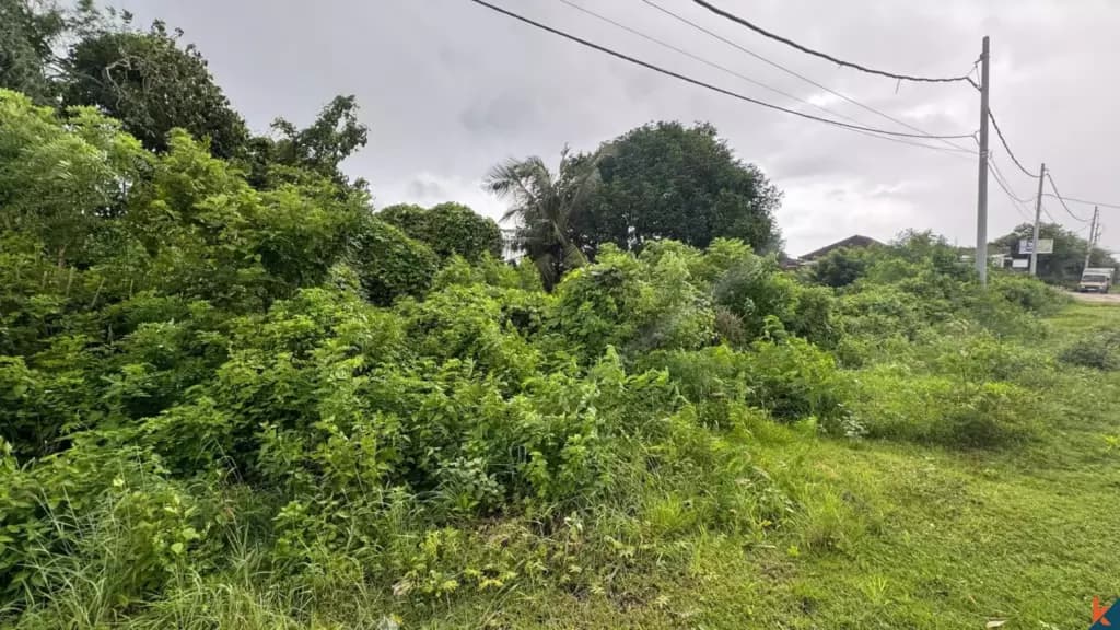 6000 m² Land Plot for Sale Kutuh South Bali, Bali, Kutuh South Bali — photo 3