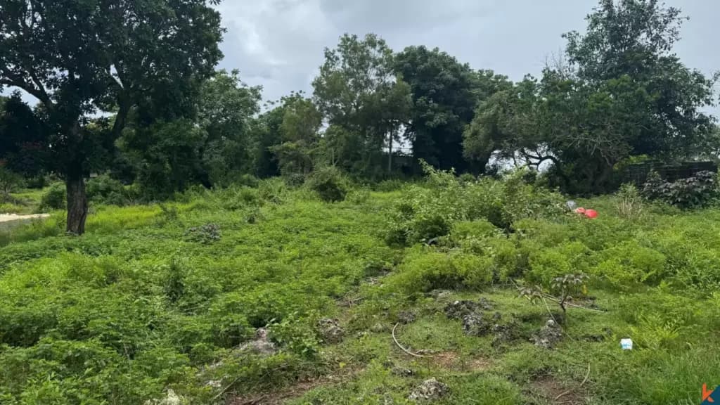 1300 m² Land Plot for Sale Kutuh South Bali, Bali, Kutuh South Bali — photo 2