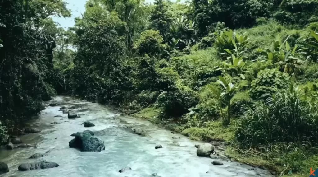 1300 m² Land Plot for Sale Tabanan, Bali, Tabanan — photo 3