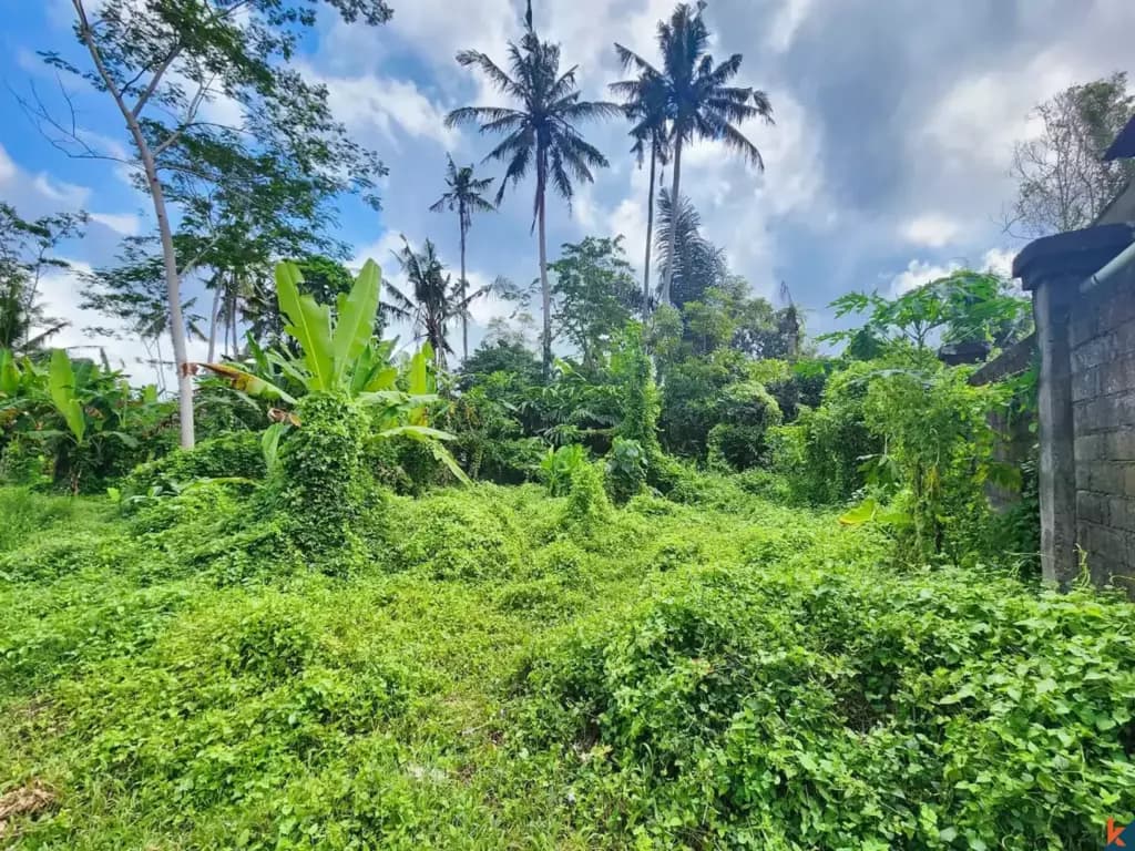 5028 m² Land Plot for Sale Ubud, Bali, Ubud — photo 3