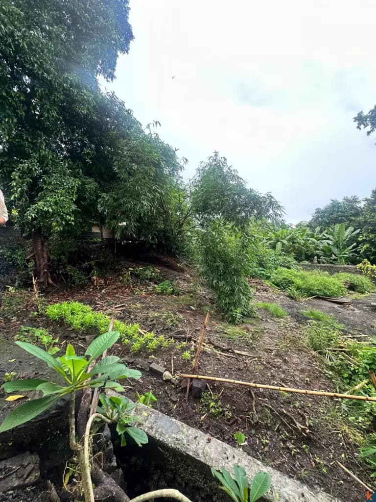 700 m² Land Plot for Sale Umalas, Bali, Umalas — photo 3