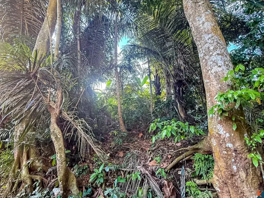 700 m² Land Plot for Sale Cepaka, Bali, Cepaka — photo 3