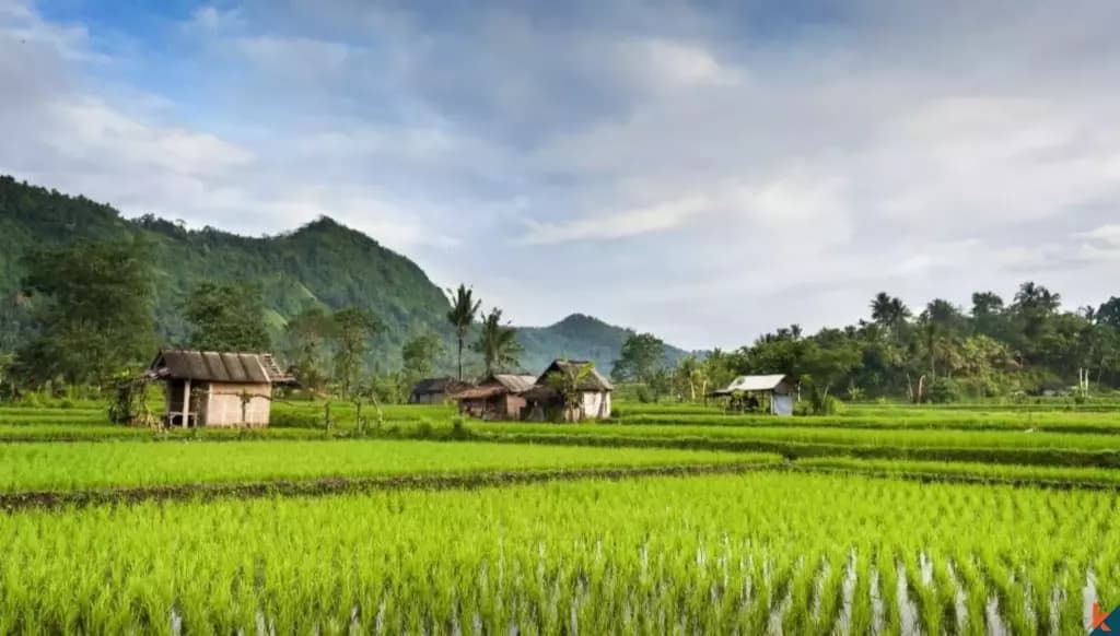 2000 m² Land Plot for Sale Karangasem, Bali, Karangasem — photo 3