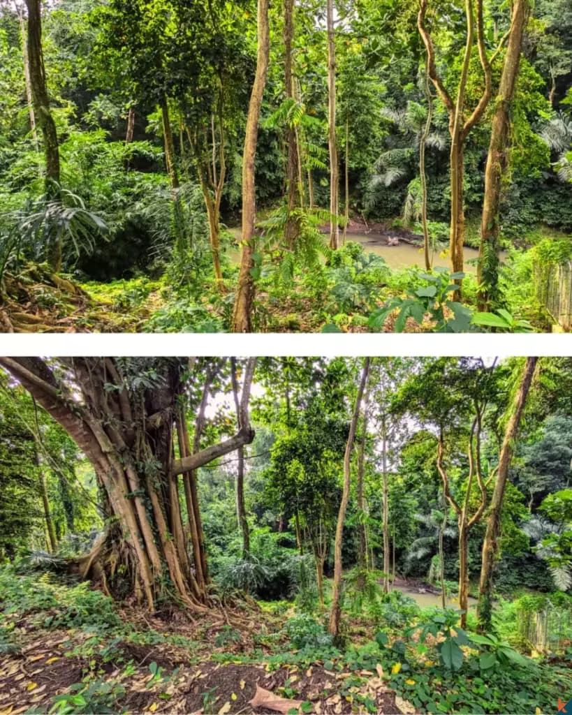 3300 m² Land Plot for Sale Tabanan, Bali, Tabanan — photo 2