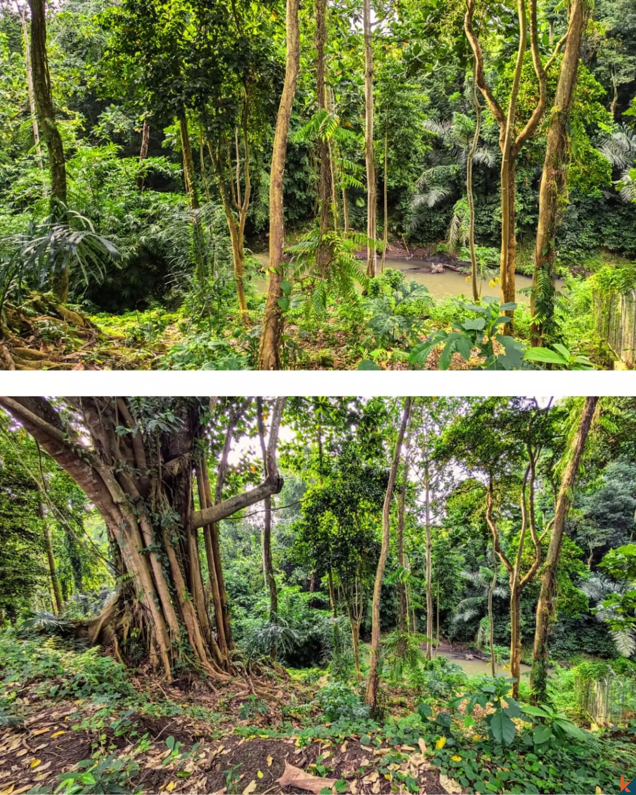 3300 m² Land Plot for Sale Tabanan, Bali, Tabanan