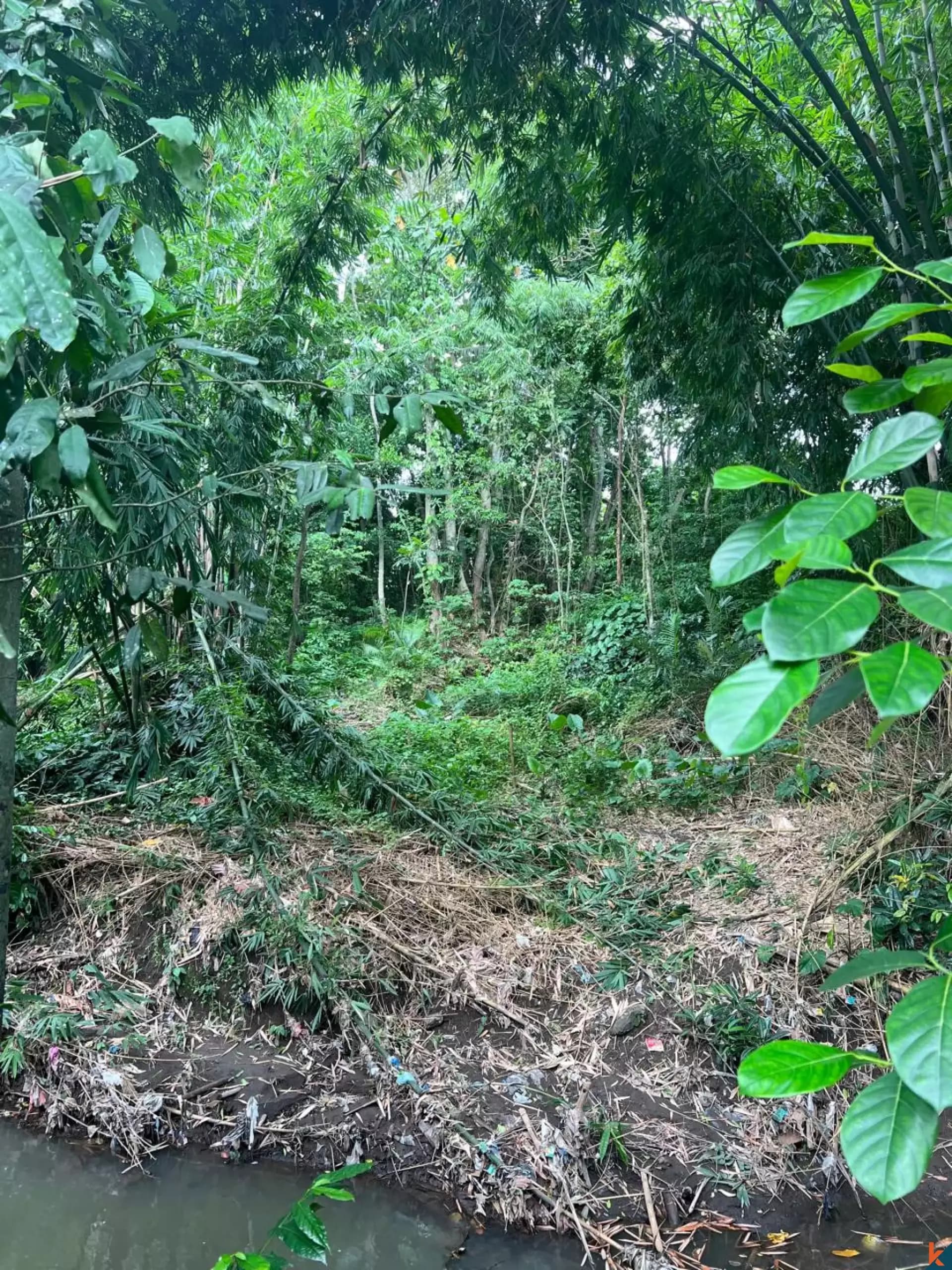 680 m² Land Plot for Sale Pererenan, Bali, Pererenan