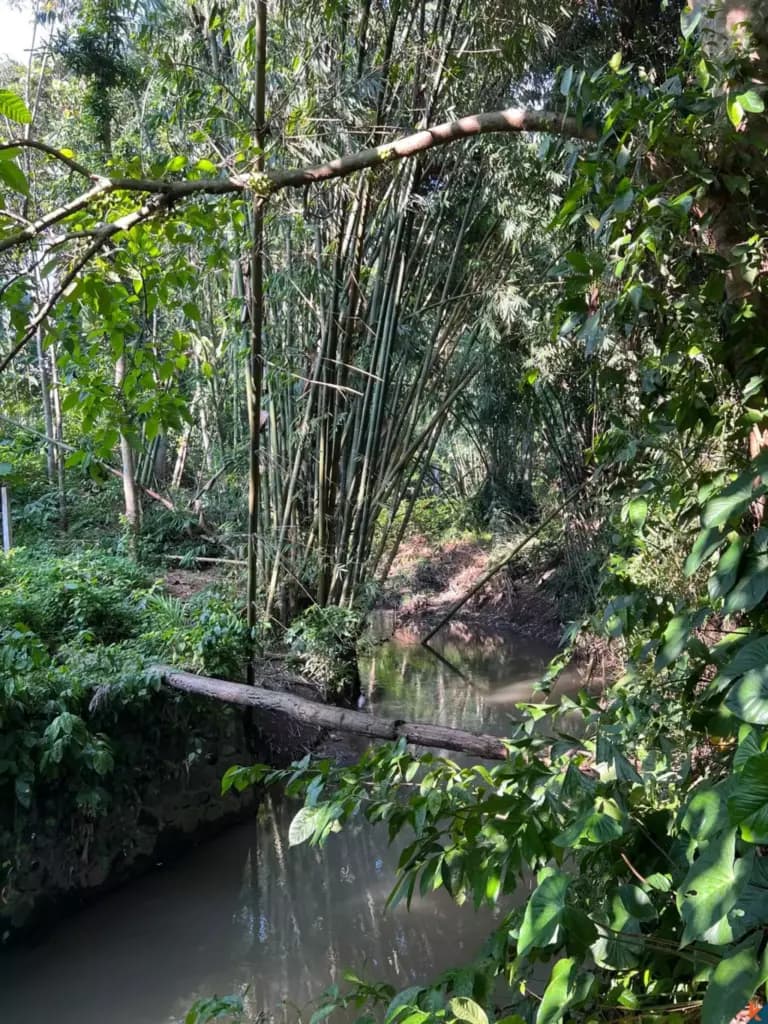 680 m² Land Plot for Sale Pererenan, Bali, Pererenan — photo 3