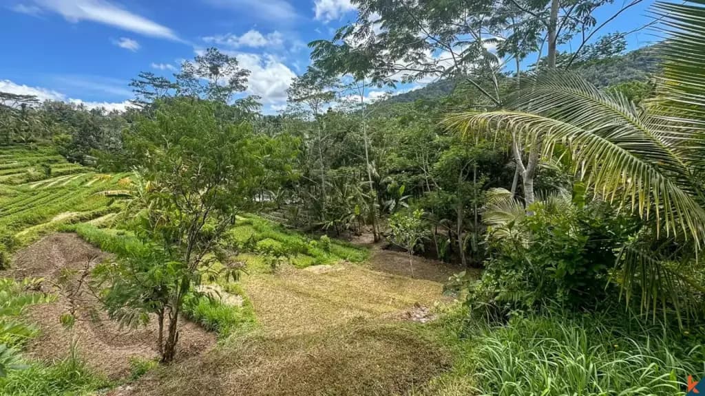 2700 m² Land Plot for Sale Sidemen, Bali, Sidemen — photo 3