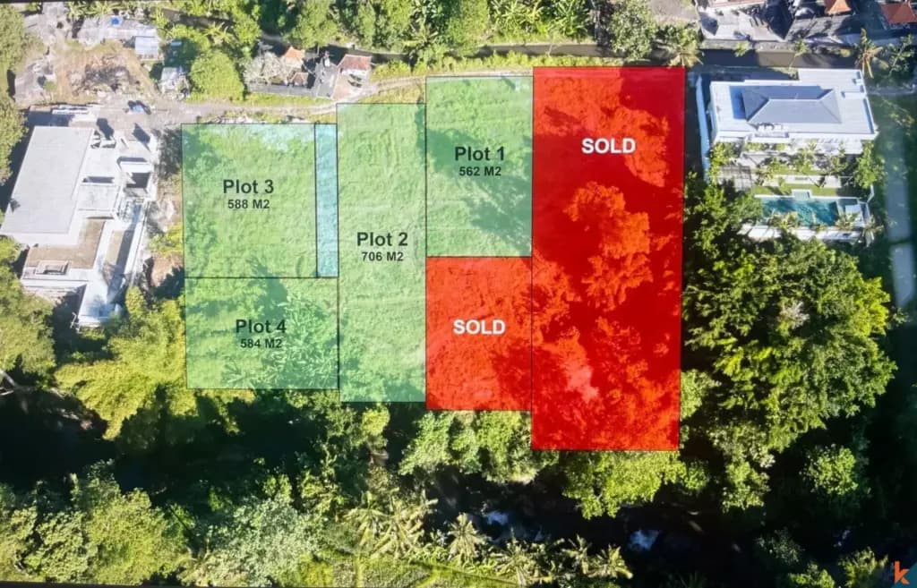 3000 m² Land Plot for Sale Cepaka, Bali, Cepaka — photo 3