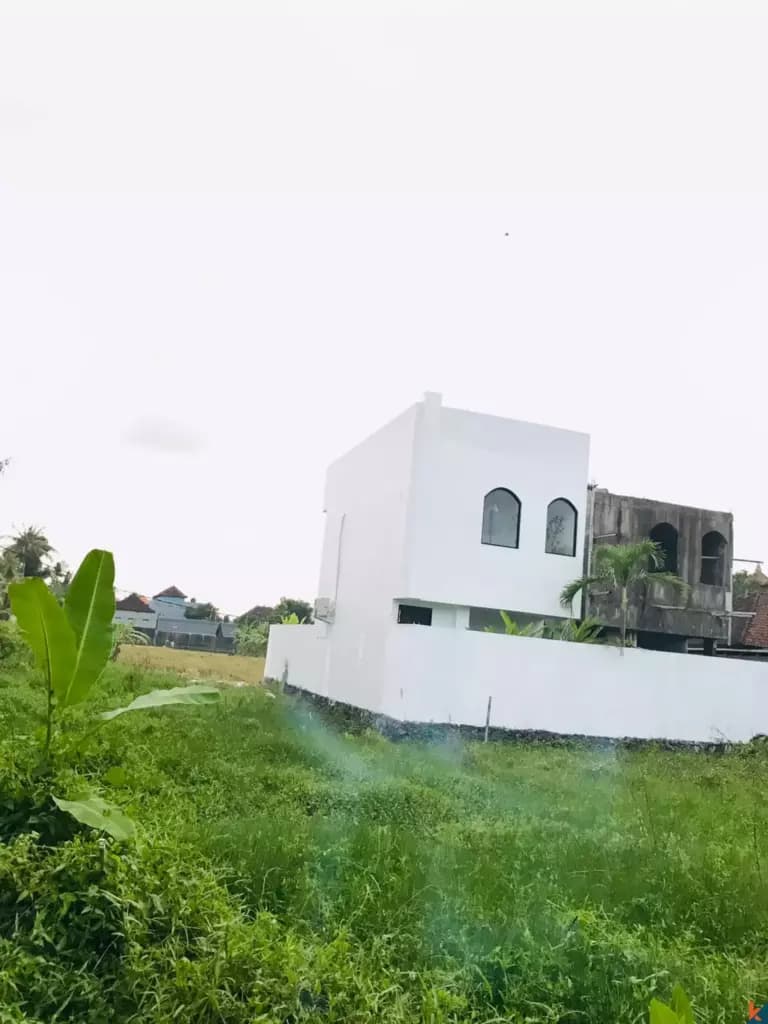 250 m² Land Plot for Sale Munggu, Bali, Munggu — photo 3