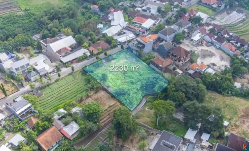 2230 m² Land Plot for Sale Padonan, Bali, Padonan — photo 3