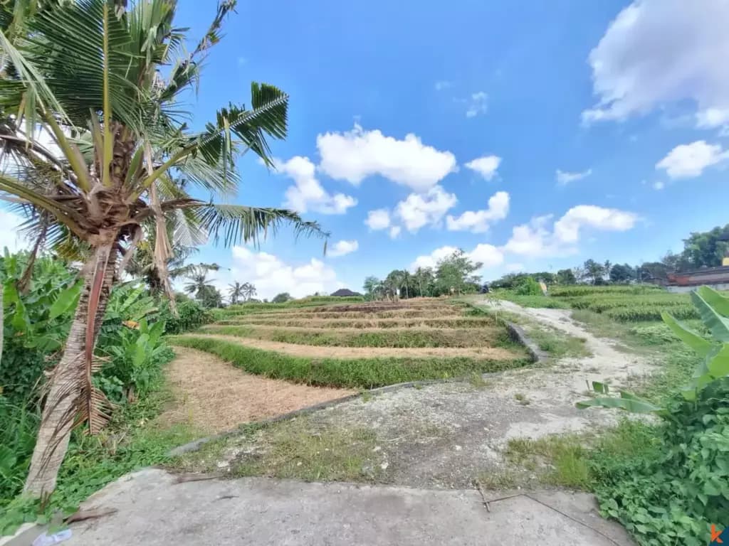 615 m² Land Plot for Sale Tabanan, Bali, Tabanan — photo 3