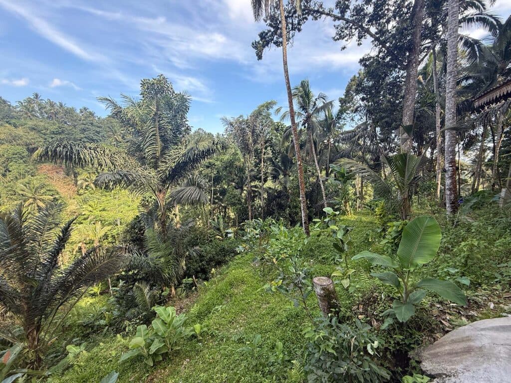 300 m² Land Plot for Sale Pakudui, Bali, Tegelalang — photo 2