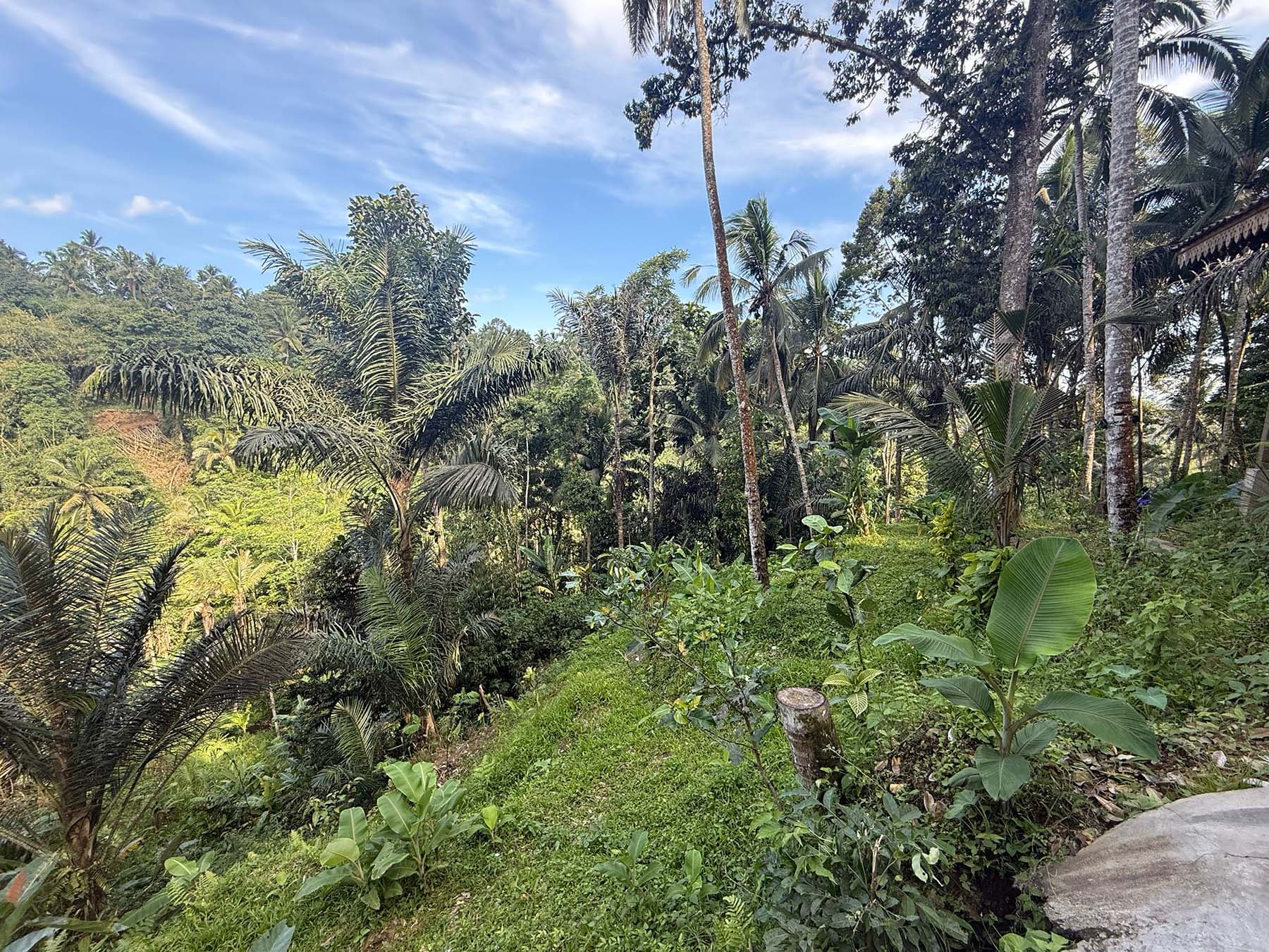 300 m² Land Plot for Sale Pakudui, Bali, Tegelalang