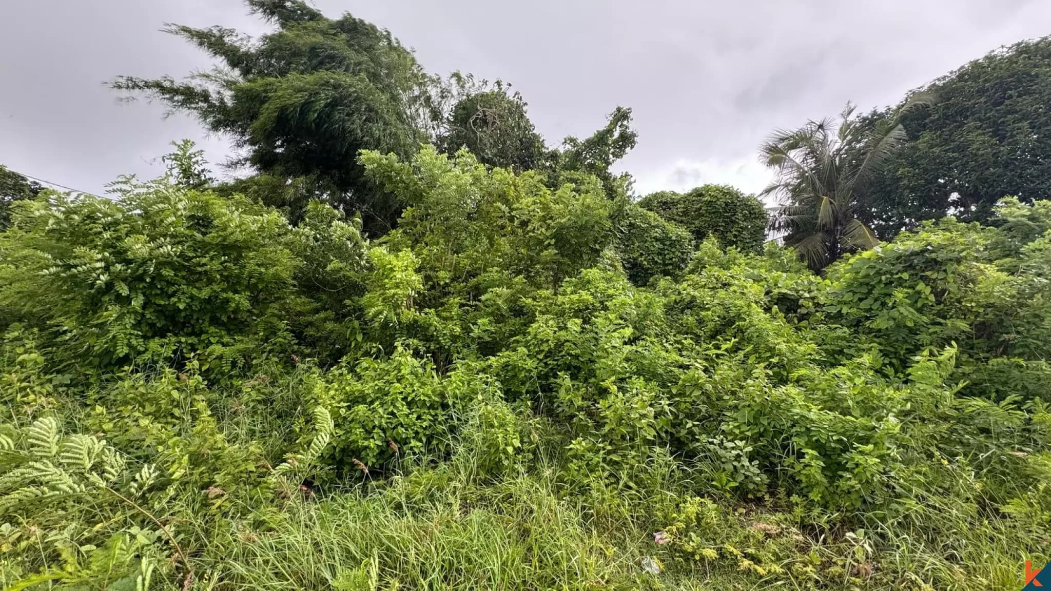6000 m² Land Plot for Sale Kutuh South Bali, Bali, Kutuh South Bali
