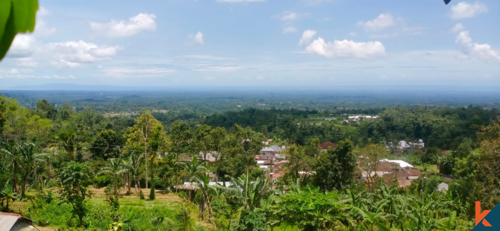 Bali Villa Construction - 2023 Property 64648bbd87994