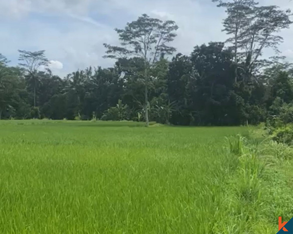 Bali Villa Construction - 2023 Property 646b096d2b411