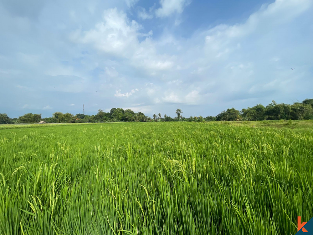 Bali Villa Construction - 2024 Property 65d7fcf6ac777