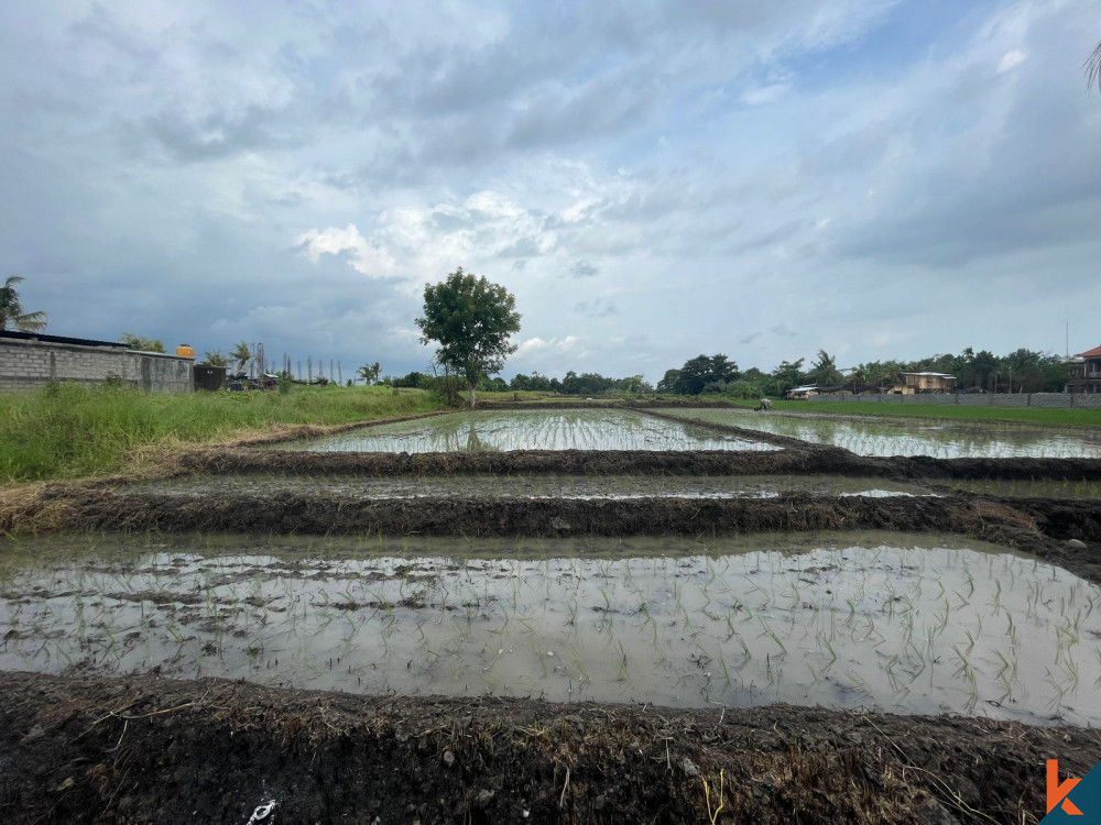 Bali Villa Construction - 2024 Property 65d7ffae54c9e