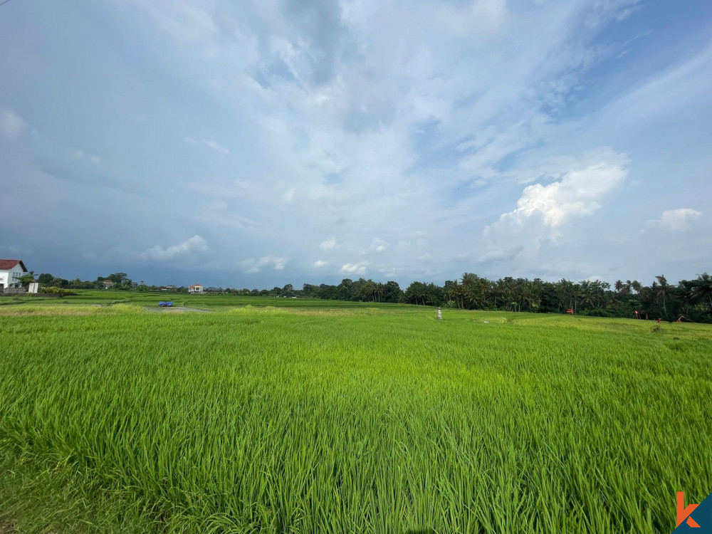 Bali Villa Construction - 2024 Property 65dc05454bc95