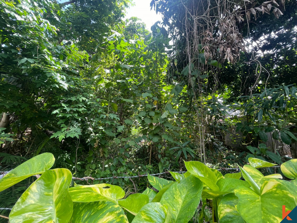 Bali Villa Construction - 2024 Property 65fb9dedb079b