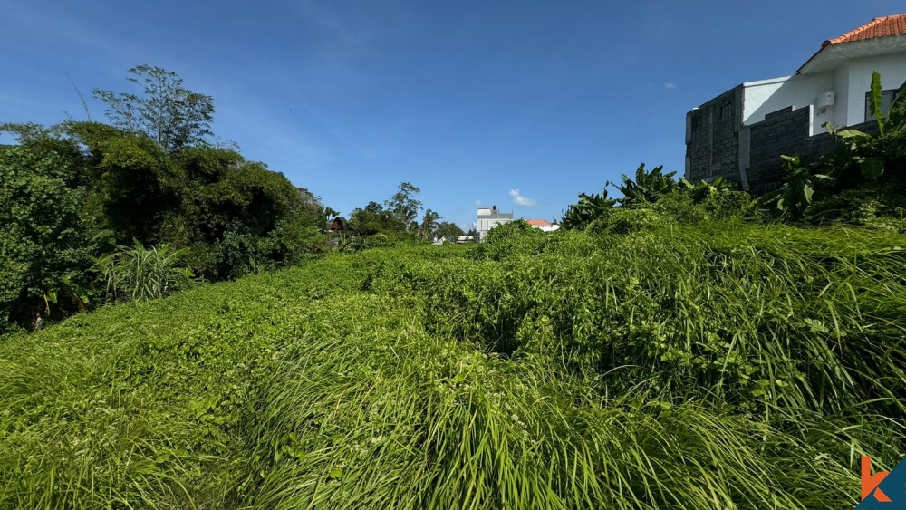 Bali Villa Construction - 2024 Property 666906e692a91