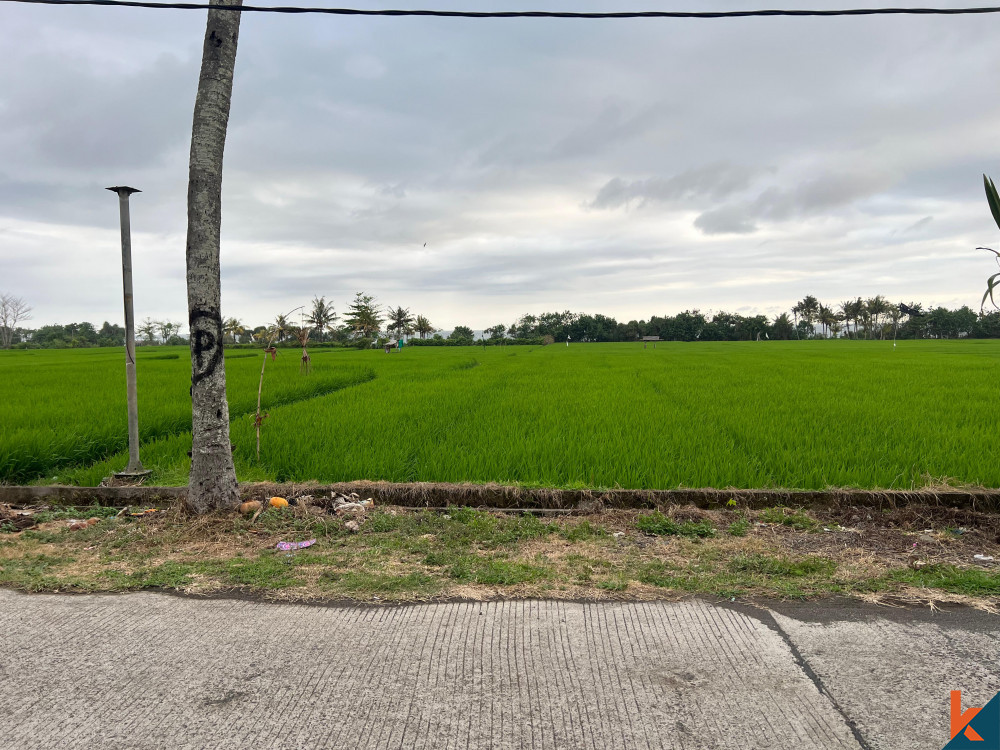 Bali Villa Construction - 2024 Property 66d66a715533e