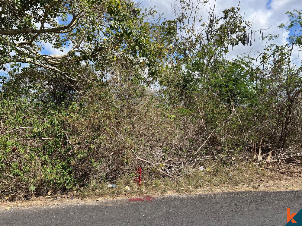 Bali Villa Construction - 2024 Property 66d6703e53b36