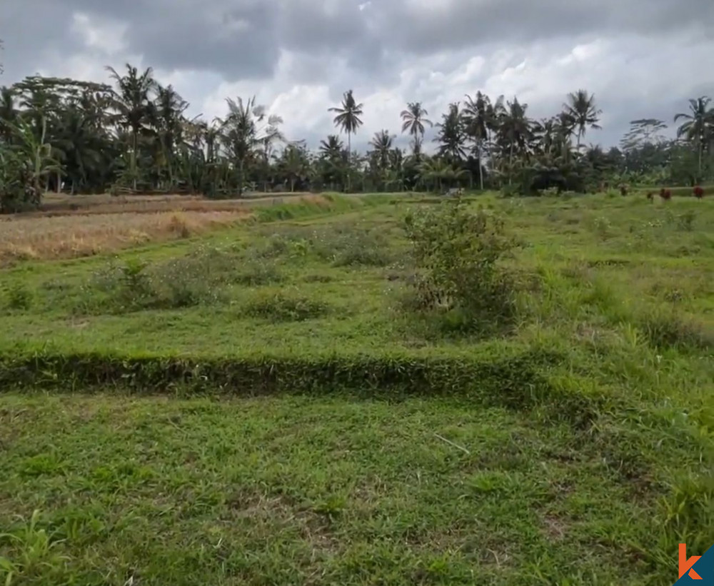 Bali Villa Construction - 2024 Property 672c3c4f6ae00