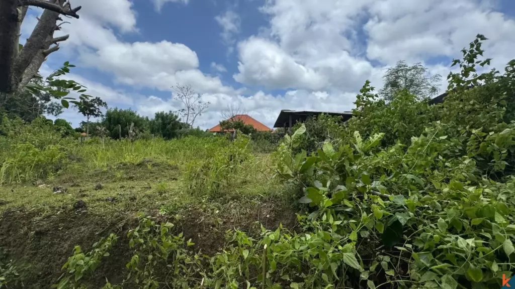 Bali Villa Construction - 2025 Property 67d7981d25150
