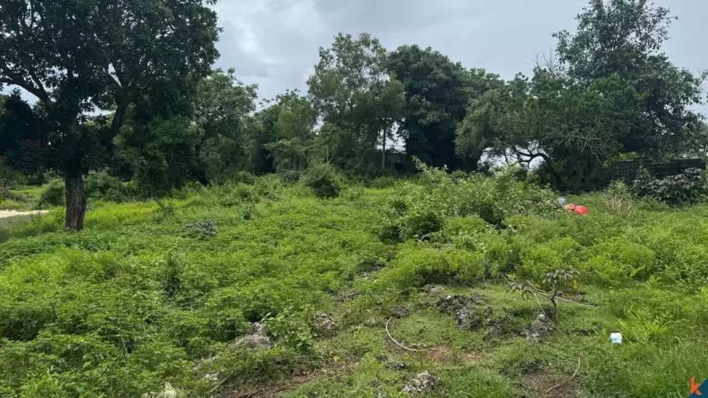 Bali Villa Construction - 2025 Property 67e37d6ee63c6