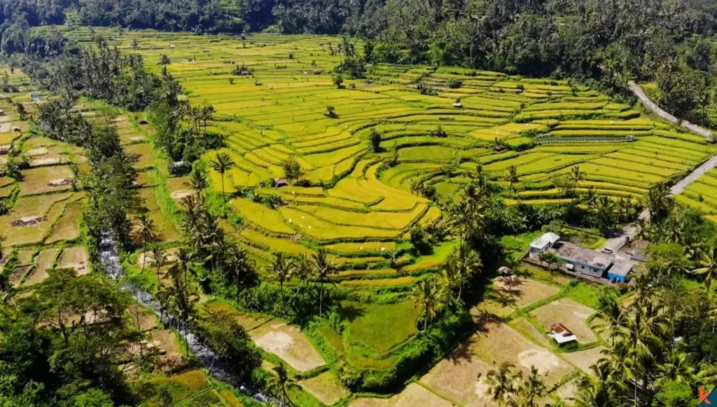 Bali Villa Construction - 2025 Property 6847a2ddc5cf7