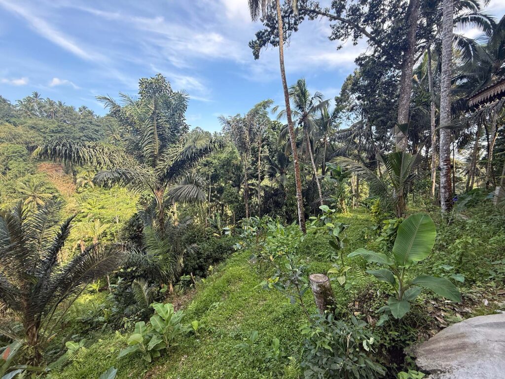 Bali Villa Construction - Img_6637